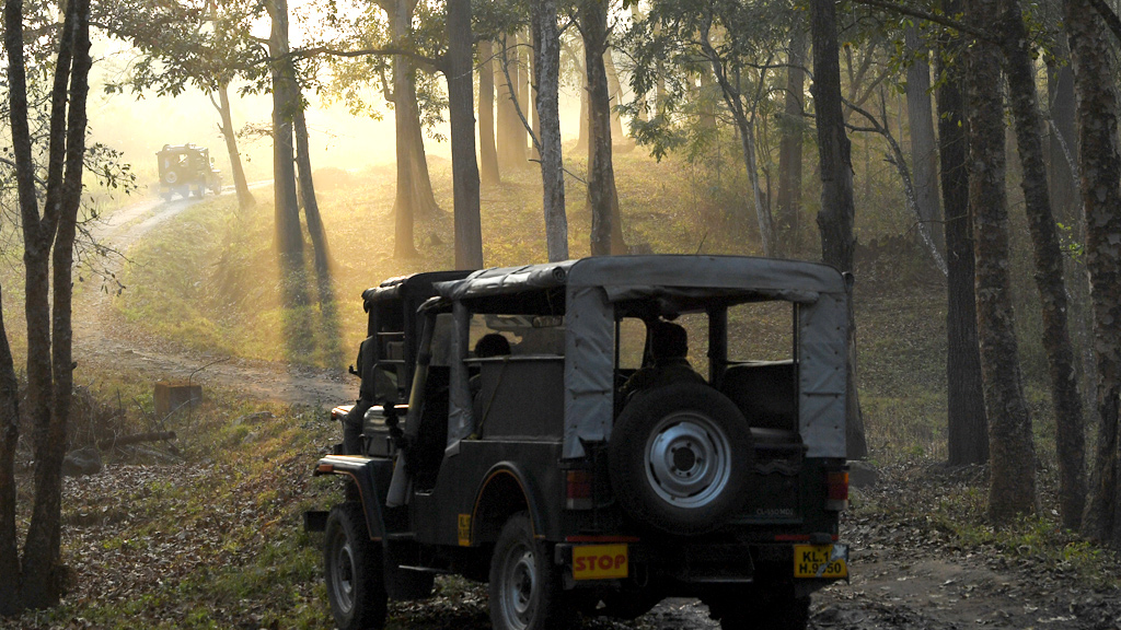 Jeep Safari